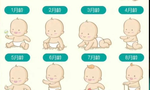 圆栗子-圆板粟功效网-分享板粟的功效与作用及食用方法，圆的板栗叫什么知识库